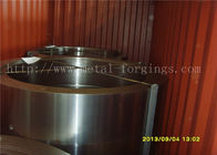 EN10025-2 S355J2G3 forjó los anillos de acero que normalizaban el tratamiento térmico