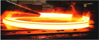 Las forjas calientes forjaron el material 1,4923, X22CrMoV12.1, 1,4835, 1,6981, ASTM F22, LF6 de los productos de acero